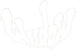 Weedow link to home page